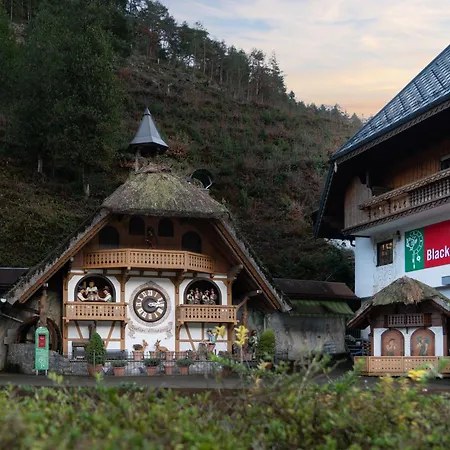 Rita - Atemberaubende Wasserfaelle Im Schwarzwald Appartamento