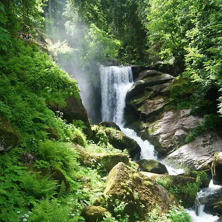 Rita - Atemberaubende Wasserfaelle Im Schwarzwald Appartamento *