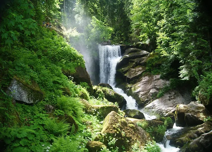 Rita - Atemberaubende Wasserfaelle Im Schwarzwald Appartamento *